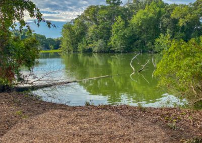 Scenic Lake Surrounded By Lush Green Trees & Foliage