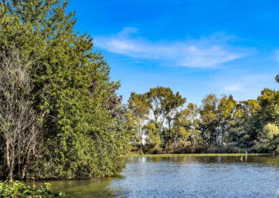 Tranquil Lakeside Scene Surrounded By Dense Foliage And Trees